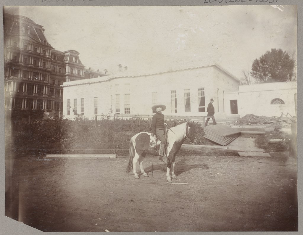Archie Roosevelt as a boy on his calico Shetland pony Algonquin in front of the new White House offices, 1903
