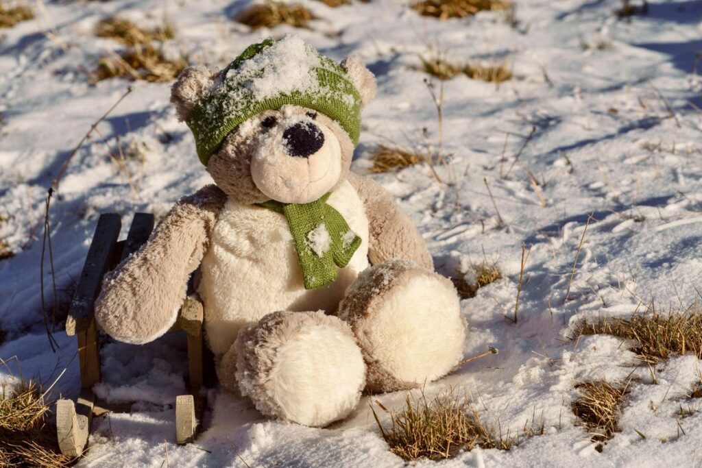 Plush teddy bear in a green knit hat and scarf sitting beside a small wooden sled in snow