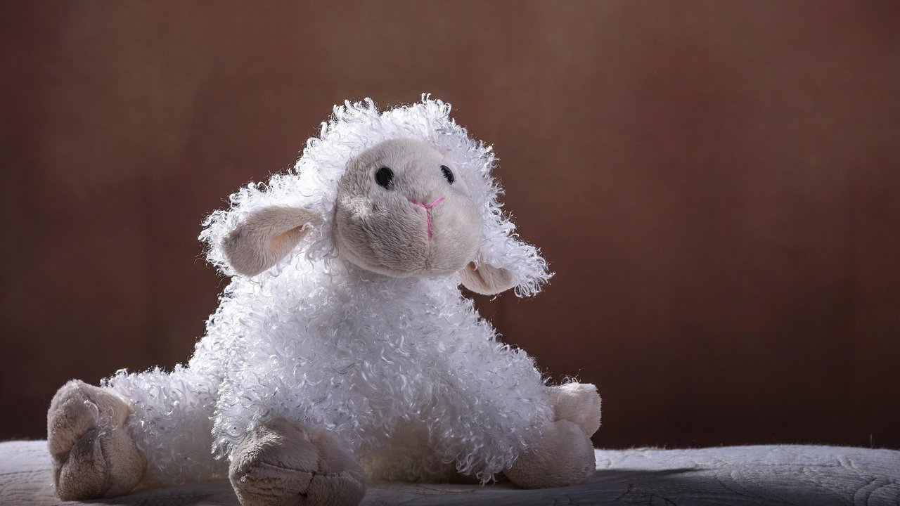 White stuffed lamb with curly synthetic fleece and floppy ears sitting against a dark brown background